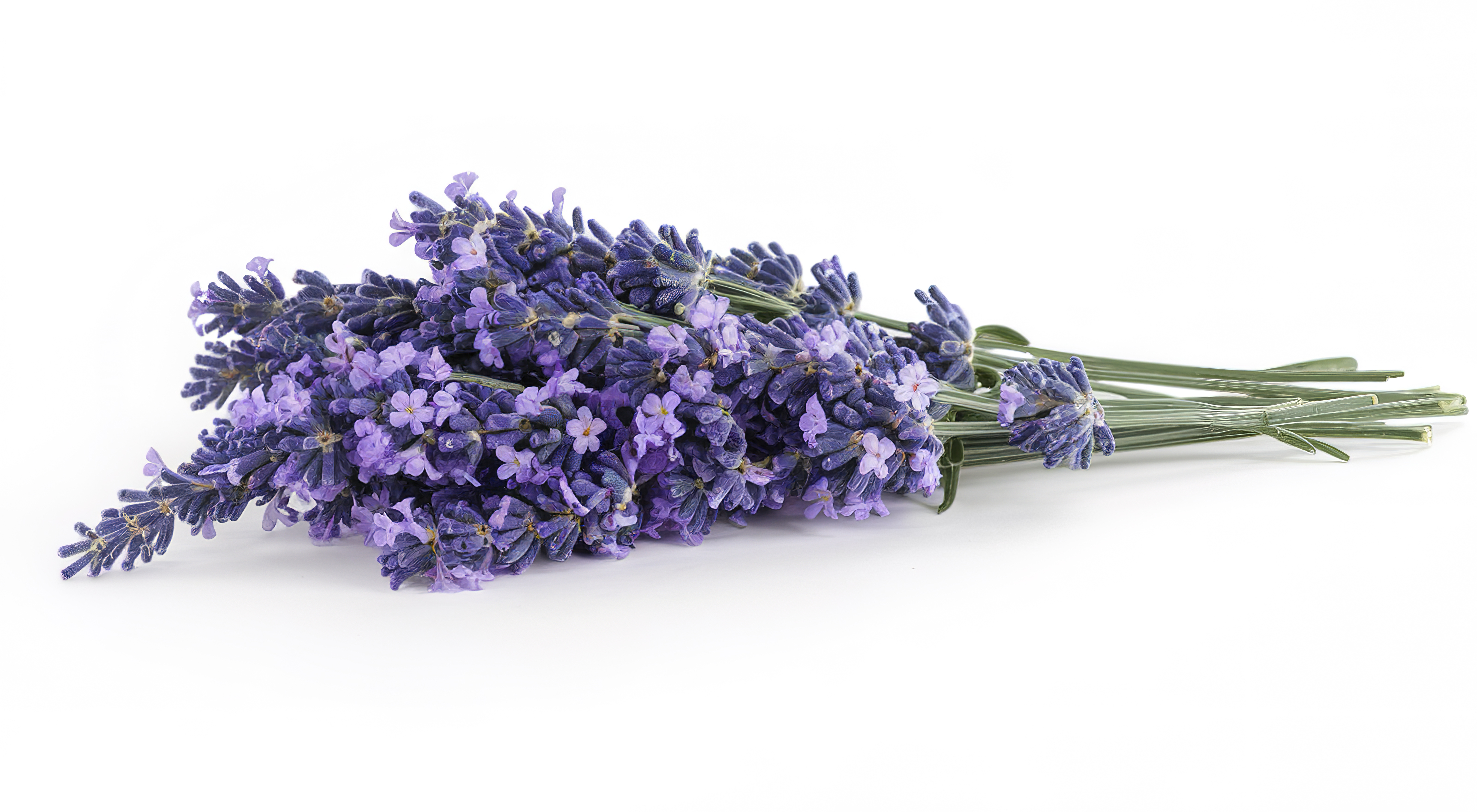 This spring, its purple over green when it comes to food and wine